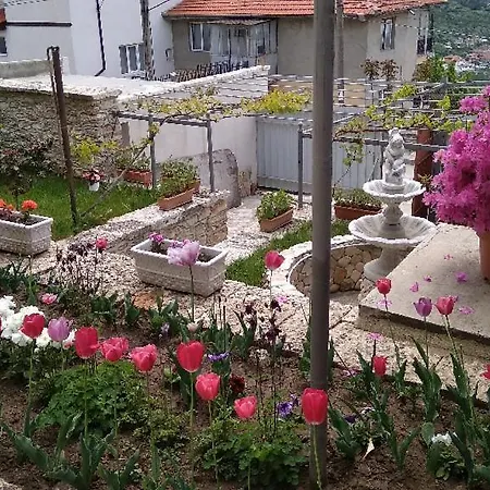 Casa Del Elgo 2 * Balchik